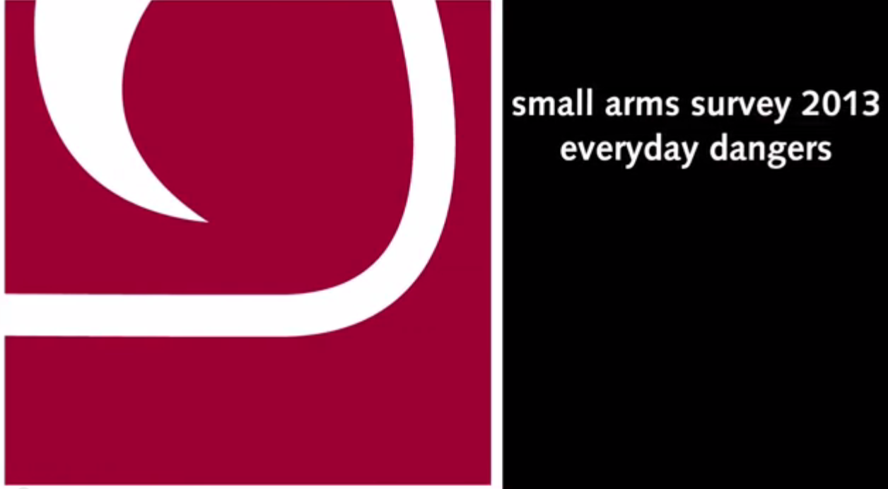 Watch Small Arms Survey video